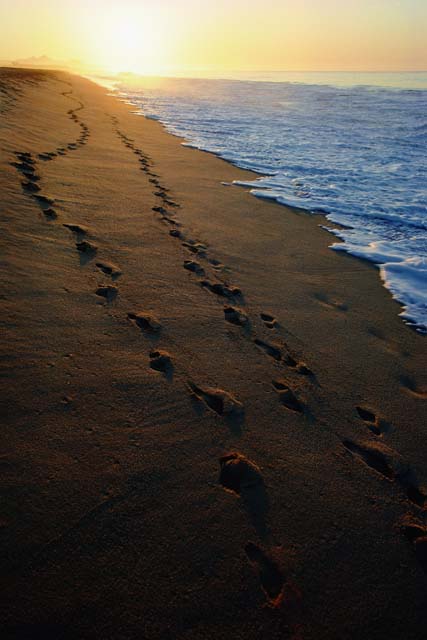 footprints poem. footprints in the sand